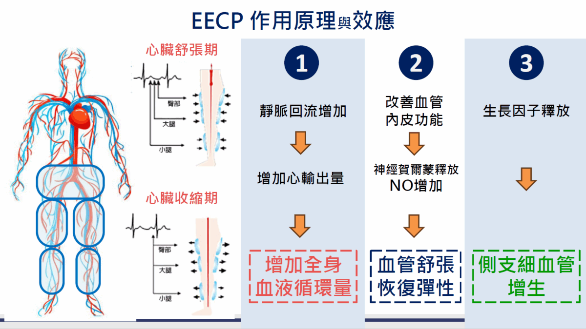 安博生EECP介紹5